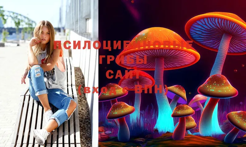 Псилоцибиновые грибы Psilocybe  купить   Ливны 